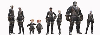 FF14 種族画像 ヒューラン ミコッテ ララフェル エレゼン ルガディン
